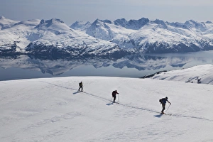 Images Dated 19th April 2011: Backcountry skiing in Prince William Sound