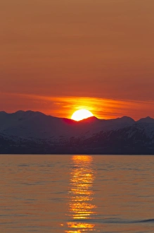 Images Dated 17th April 2011: Backcountry skiing in Prince William Sound