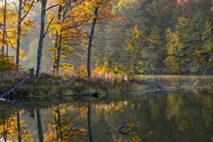 Backlit trees on Lake Ogle in autumn in Brown County State Park, Indiana, USA
