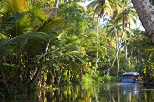 Images Dated 18th November 2010: Backwaters, Alappuzha or Alleppey, Kerala, India