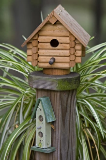 Images Dated 7th September 2007: Backyard birdhouse