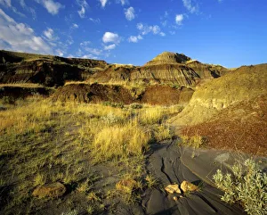 Dinosaur Prints: Badlands at Dinosaur