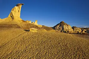Images Dated 21st April 2009: Badlands formations in the Bisti Wilderness in San Juan County, New Mexico, USA