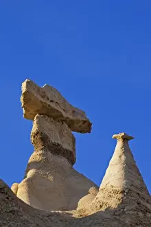 Images Dated 26th February 2009: Badlands formations in the Bisti Wilderness in San Juan County, New Mexico, USA