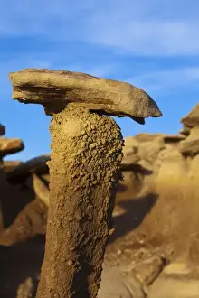 Images Dated 26th February 2009: Badlands formations in the Bisti Wilderness in San Juan County, New Mexico, USA