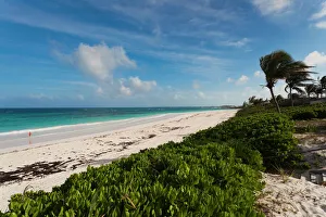 Harbor Island Prints: Bahamas, Eleuthera Island, Harbour Island, Pink Sands Beach