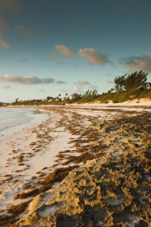 Images Dated 29th February 2012: Bahamas, Eleuthera Island, Harbour Island, Pink Sands Beach, dawn