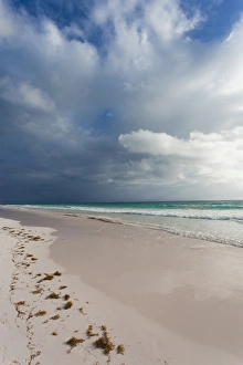 Bahamas, Eleuthera Island, Harbour Island, Pink Sands Beach, morning