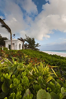 Bahamas, Eleuthera Island, Harbour Island, Pink Sands Beach, morning