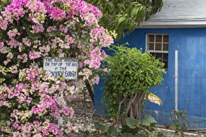 Bahamas Prints: Bahamas, Exuma Island. Bougainvillea and sign