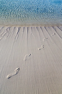 Images Dated 10th April 2015: Bahamas, Exuma Island, Cays Land and Sea Park