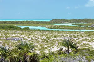 Aqua Prints: Bahamas, Exuma Island, Cays Land and Sea Park