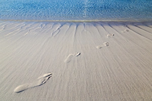 Images Dated 10th April 2015: Bahamas, Exuma Island, Cays Land and Sea Park