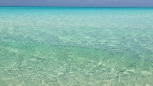 Bahamas Prints: Bahamas, Exuma Island. Seascape of Shroud Cay