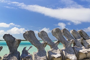 Images Dated 9th April 2015: Bahamas, Exuma Island. Sperm whale bones on display