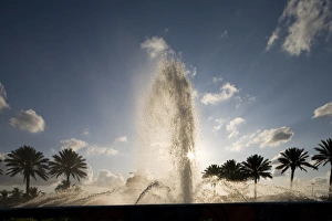 Images Dated 6th April 2007: Bahamas, Grand Bahama Island, Freeport, Setting sun silhouettes fountains and palm