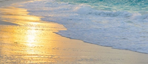 Caribbean Gallery: 