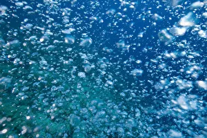 Bahamas, New Providence Island, Air bubbles from scuba divers swimming in Caribbean Sea