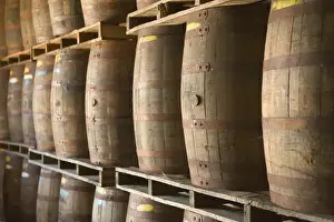 BAHAMAS-New Providence Island-Coral Harbour: Bacardi Rum Factory
