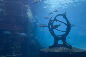 Images Dated 5th April 2007: Bahamas, Paradise Island, Nassau, Aquarium inside Atlantis Resort