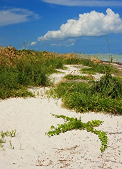 Images Dated 9th June 2009: Bahia Honda Beach State Park, Florida Keys