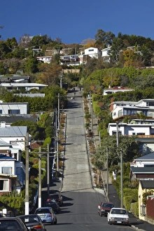 Suburb Prints: Baldwin Street ( worlds steepest street ), Dunedin, South Island, New Zealand