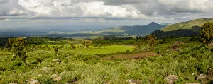 Bale Mountains National Park. Ethiopia