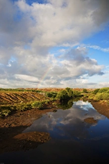 Images Dated 24th January 2010: Bali, Indonesia. Suwung Waste dump, a legal trash dump located on Serangan island