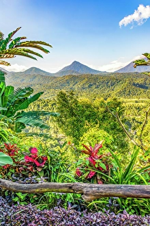 Bali Prints: Bali, Indonesia. Vertical landscape view of lush tropical growth with three volcanos in the distance