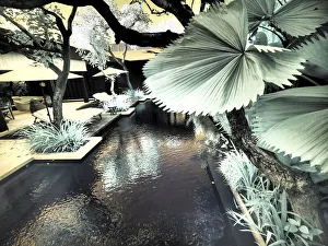 Lagoon Prints: Bali, Ubud. Ponds and pools at hotel in Ubud
