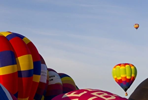 Balloons lifting for the Mass Ascension at the Albuquerque International Balloon Fiesta