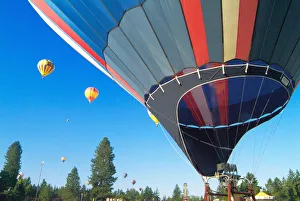 Willamette Valley Prints: Some balloons are already in the sky as another prepares for launch, at the Tigard
