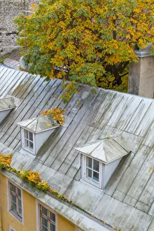 Images Dated 17th January 2019: Baltic States, Estonia, Tallinn. Rooftops near city walls