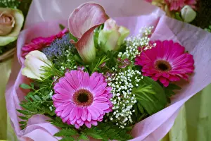 Vendor Prints: BAMBER17803-2012-BARTRUFF. CR2 - Fresh flowers for sale in the Old Town outdoor market of Bamberg