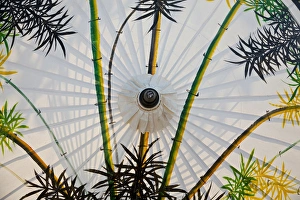 Bamboo Prints: Bamboo pattern on painted parasol, Bo Sang, Umbrella Village near Chaing Mai, Thailand