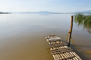 Images Dated 24th January 2017: Bamboo raft on Lake Shalla, Abijatta-Shalla Lakes National Park, Ethiopia