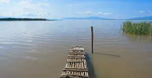 Ethiopia Prints: Bamboo raft on Lake Shalla, Abijatta-Shalla Lakes National Park, Ethiopia