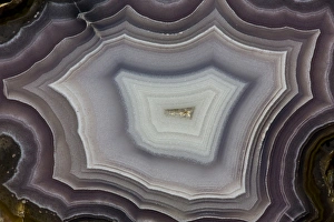 Images Dated 25th January 2013: Banded Agate, Quartzsite, AZ