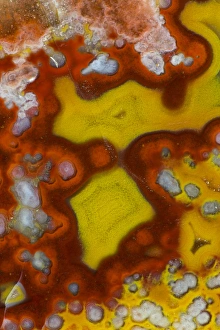 Images Dated 25th January 2013: Banded Agate, Quartzsite, AZ
