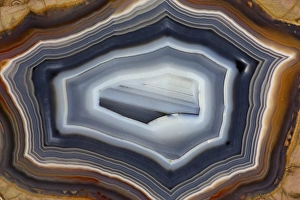 Images Dated 25th January 2013: Banded Agate, Quartzsite, AZ