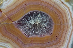 Images Dated 23rd January 2013: Banded Agate, Quartzsite, AZ