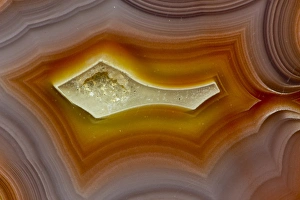 Images Dated 23rd January 2013: Banded Agate, Quartzsite, AZ