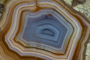 Images Dated 25th January 2013: Banded Agate, Quartzsite, AZ