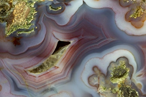 Images Dated 25th January 2013: Banded Agate, Quartzsite, AZ