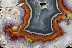 Images Dated 25th January 2013: Banded Agate, Quartzsite, AZ