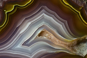 Images Dated 25th January 2013: Banded Agate, Quartzsite, AZ