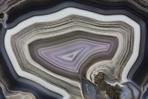 Images Dated 25th January 2013: Banded Agate, Quartzsite, AZ