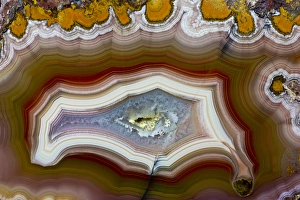 Images Dated 25th January 2013: Banded Agate, Quartzsite, AZ