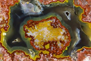 Images Dated 25th January 2013: Banded Agate, Quartzsite, AZ