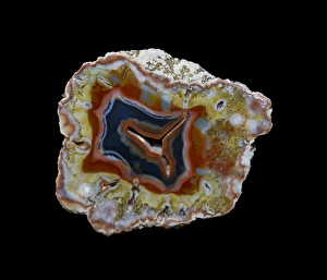 Images Dated 30th July 2015: Banded Agate, Quartzsite, AZ